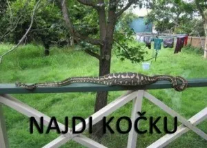 Fotka k příspěvku