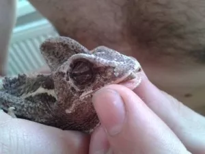 Fotka k příspěvku