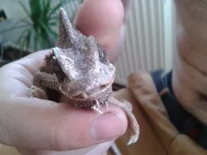 Fotka k příspěvku