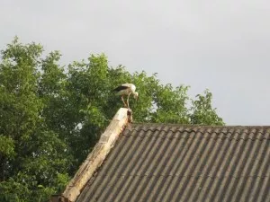 Fotka k příspěvku