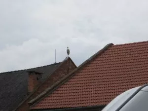Fotka k příspěvku