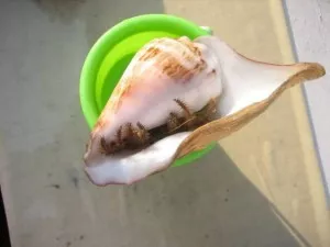 Fotka k příspěvku