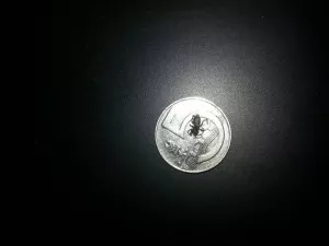 Fotka k příspěvku
