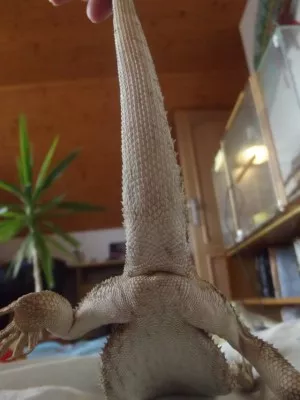 Fotka k příspěvku