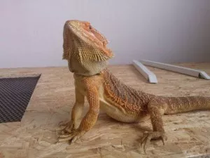 Fotka k příspěvku