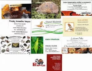 Fotka k příspěvku