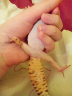 Fotka k příspěvku