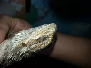 Fotka k příspěvku