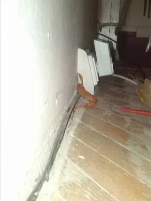 Fotka k příspěvku
