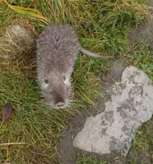 Fotka k příspěvku