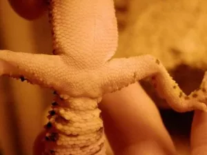 Fotka k příspěvku