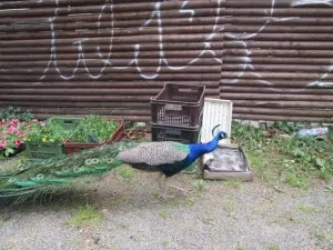 Fotka k příspěvku