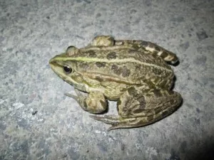 Fotka k příspěvku