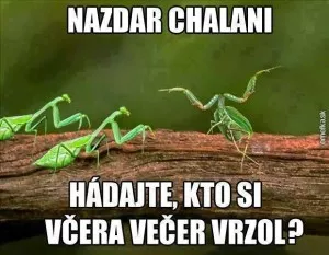 Fotka k příspěvku