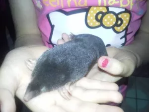 Fotka k příspěvku