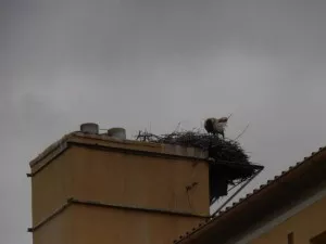 Fotka k příspěvku