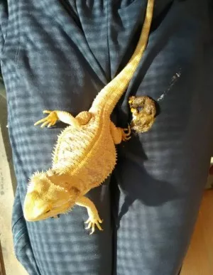 Fotka k příspěvku