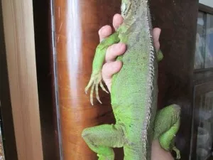 Fotka k příspěvku