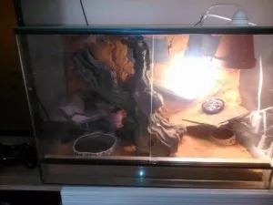 Fotka k příspěvku