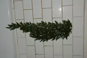 Fotka k příspěvku