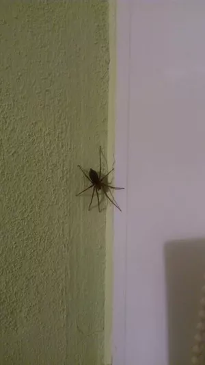 Fotka k příspěvku