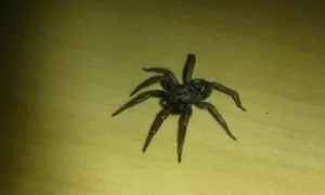 Fotka k příspěvku