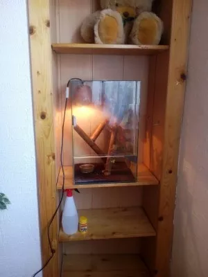 Fotka k příspěvku