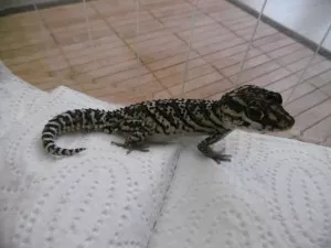 Fotka k příspěvku
