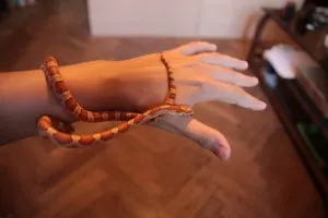 Fotka k příspěvku