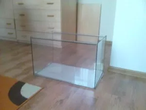 Fotka k příspěvku