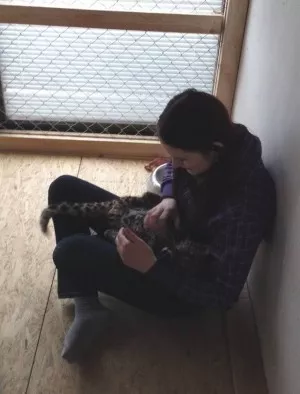 Fotka k příspěvku