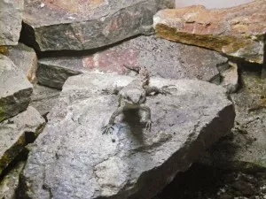 Fotka k příspěvku