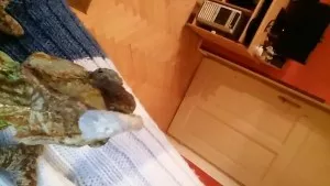 Fotka k příspěvku