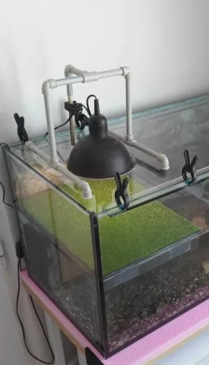 Fotka k příspěvku