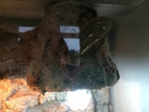Fotka k příspěvku
