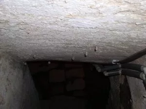 Fotka k příspěvku