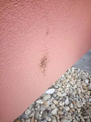 Fotka k příspěvku
