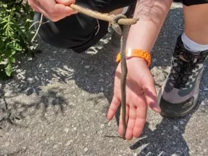 Fotka k příspěvku