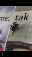 Fotka k příspěvku