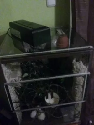 Fotka k příspěvku