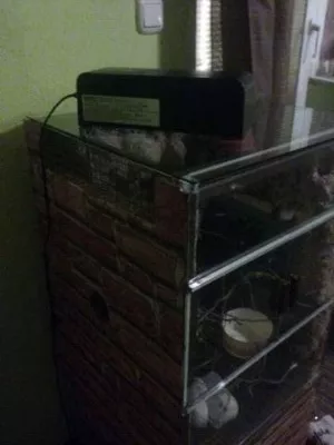 Fotka k příspěvku