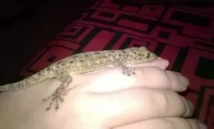Fotka k příspěvku