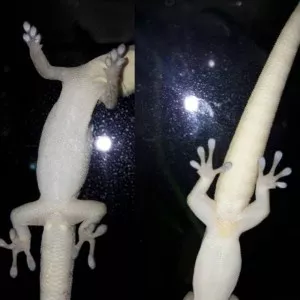 Fotka k příspěvku