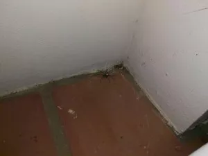 Fotka k příspěvku