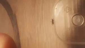 Fotka k příspěvku