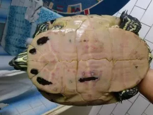 Fotka k příspěvku