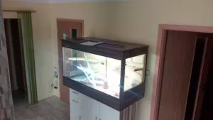 Fotka k příspěvku