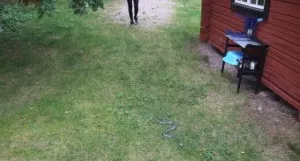 Fotka k příspěvku
