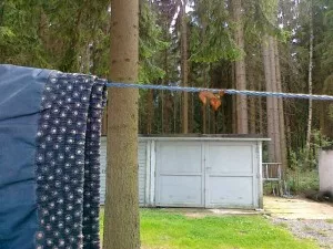 Fotka k příspěvku