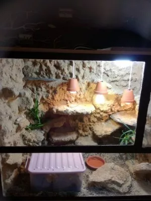 Fotka k příspěvku